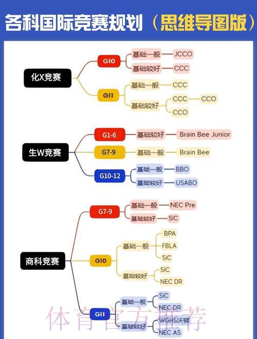 深度剖析世界杯赛事预测的核心策略与实用方法